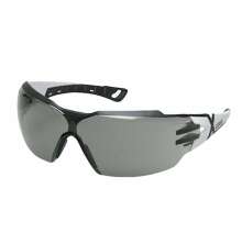 Skyddsglas�gon Pheos CX2 