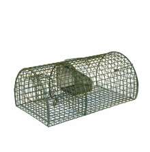 Gr�n metallbur i n�t f�r att f�nga r�ttor