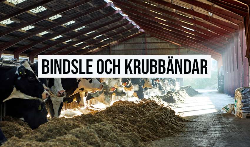 Bindsle och krubbändar